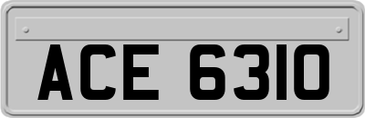 ACE6310