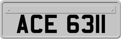 ACE6311