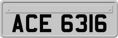 ACE6316