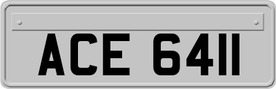 ACE6411
