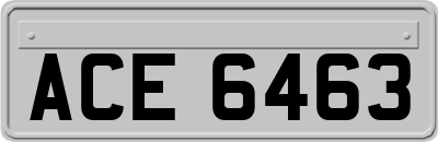 ACE6463