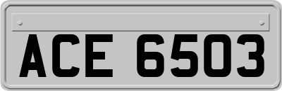 ACE6503