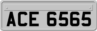 ACE6565