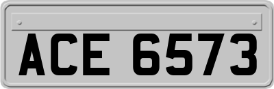 ACE6573