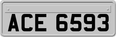 ACE6593