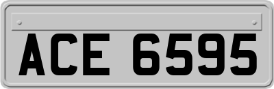 ACE6595