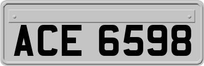 ACE6598