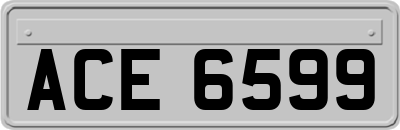 ACE6599