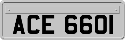 ACE6601