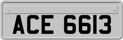 ACE6613