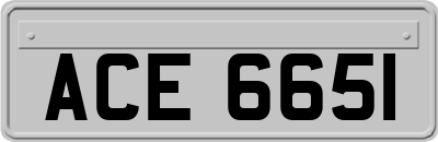 ACE6651