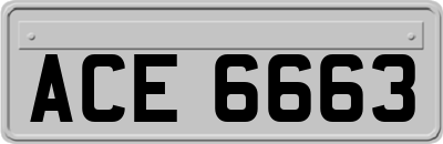 ACE6663