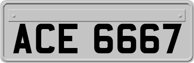 ACE6667