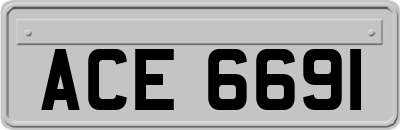 ACE6691