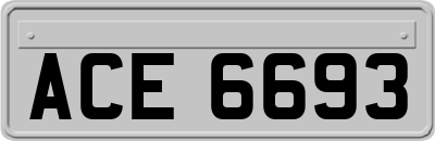 ACE6693