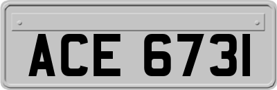 ACE6731