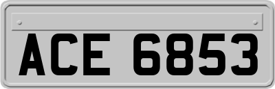 ACE6853