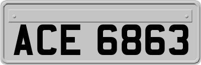 ACE6863