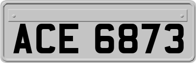 ACE6873