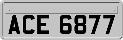 ACE6877