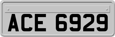 ACE6929