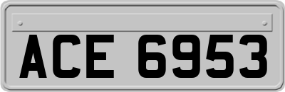 ACE6953