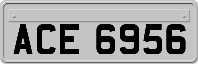 ACE6956