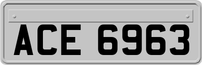 ACE6963
