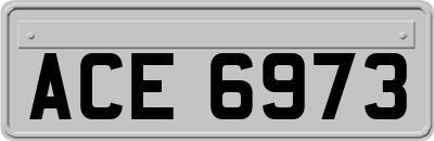 ACE6973