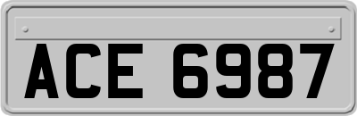 ACE6987