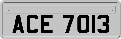ACE7013