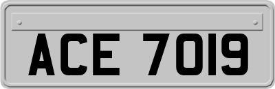 ACE7019