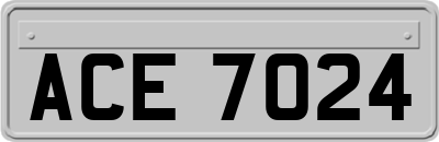 ACE7024