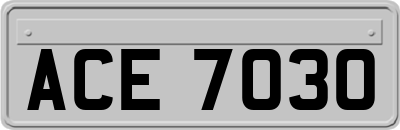 ACE7030