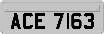 ACE7163