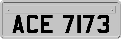 ACE7173