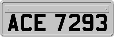 ACE7293
