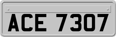 ACE7307