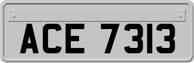ACE7313