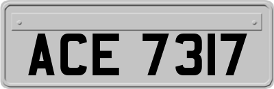 ACE7317