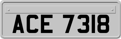 ACE7318