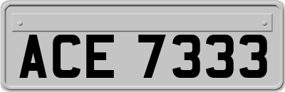 ACE7333