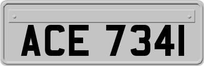ACE7341