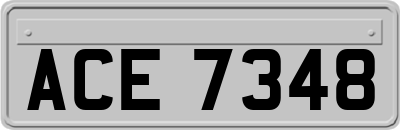 ACE7348