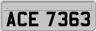 ACE7363