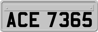 ACE7365