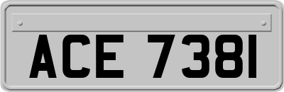 ACE7381