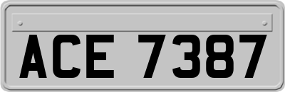 ACE7387