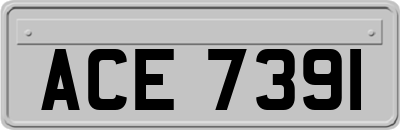 ACE7391