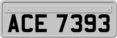 ACE7393